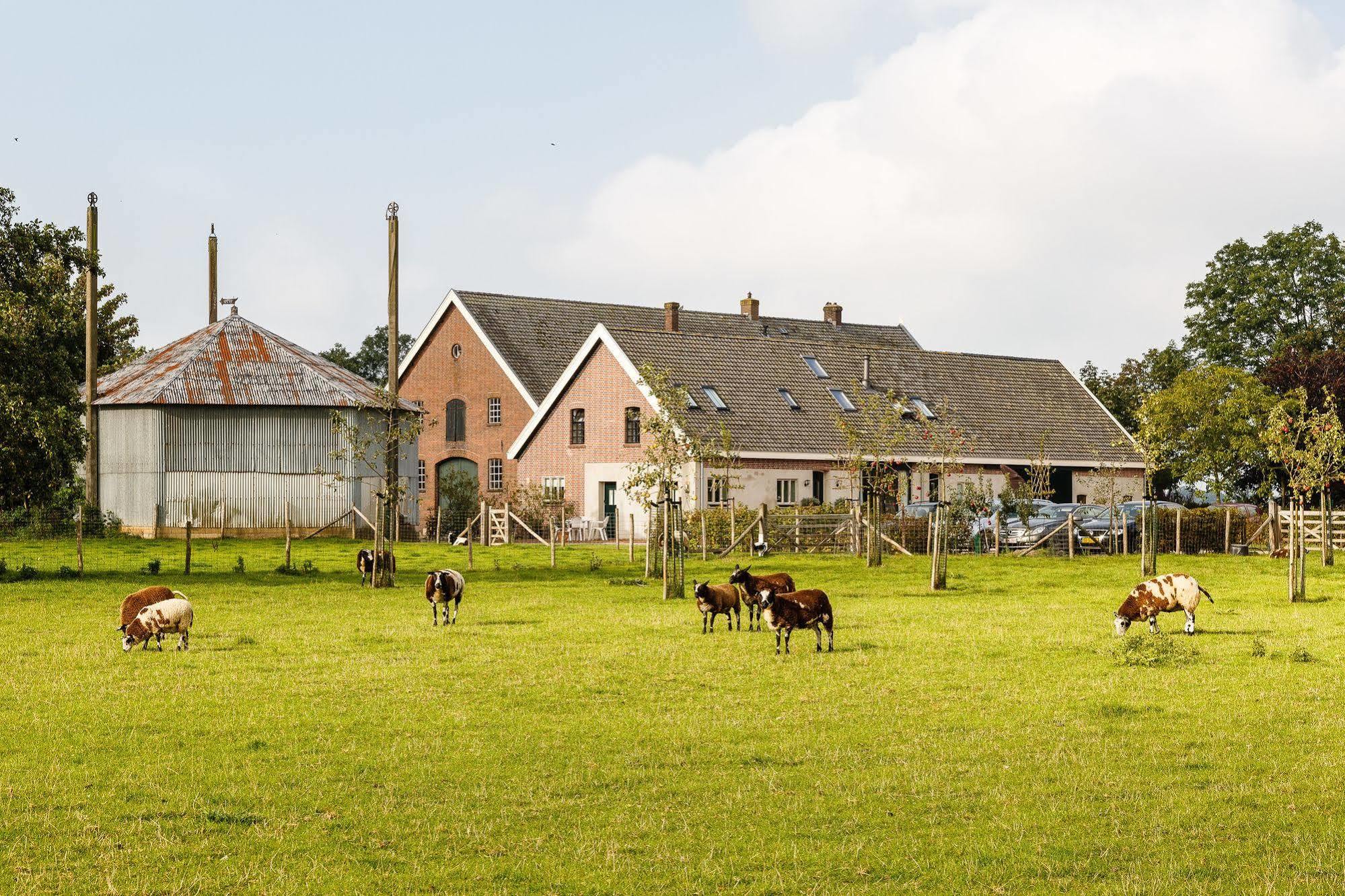 Bed and Breakfast De Nachtdijk Wijk bij Duurstede Exterior foto